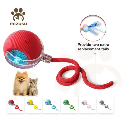 Interactive Cat & Dog Teaser