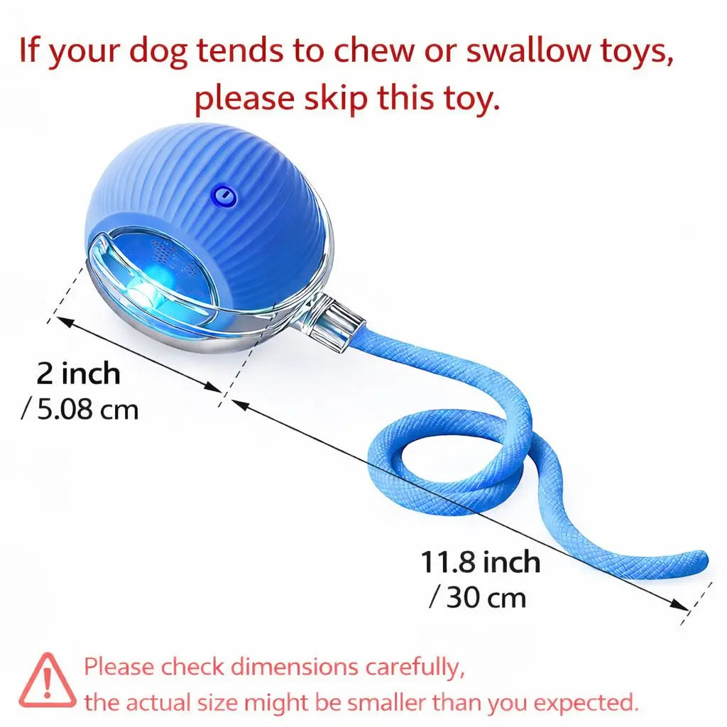 Interactive Cat & Dog Teaser