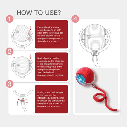 Interactive Cat & Dog Teaser