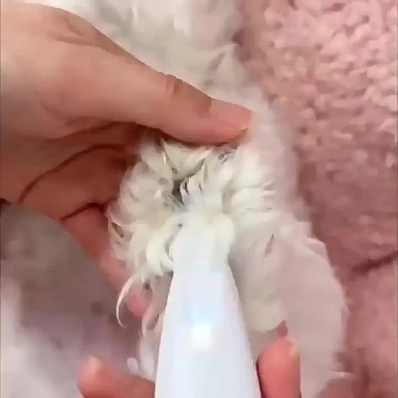 Rechargeable Pet Hair Trimmer Kit, Pet Paw Trimmer, Cordless Quiet Dog Trimmer for Grooming with LED Light, Small Dog Grooming Clippers for Dogs & Cats, Pet Grooming Tool,Waterproof, Low Noise Pet Shaver,#Summervibes #Petlovers