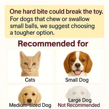 Interactive Cat & Dog Teaser