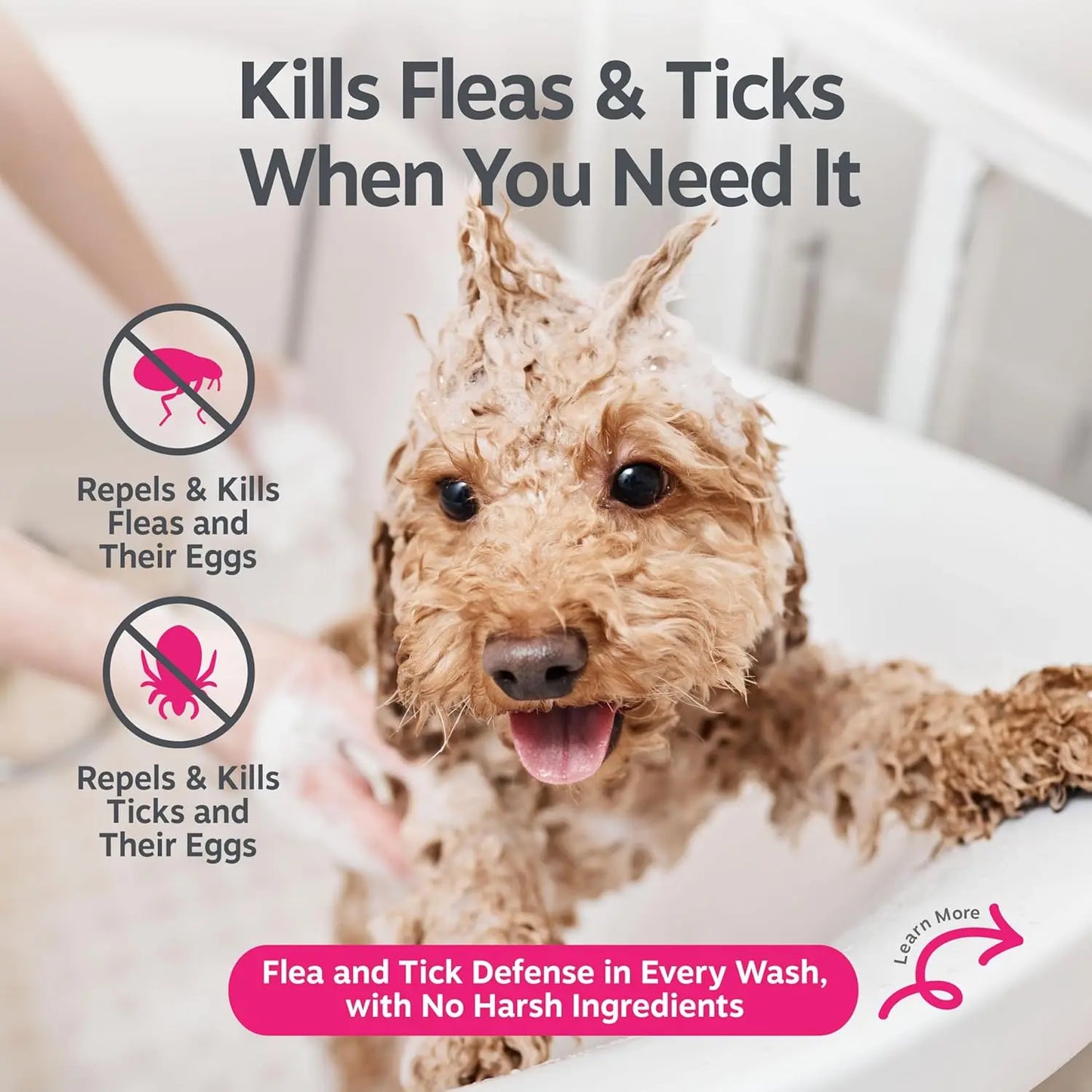 Paws Flea & Tick Removal Shampoo for Dogs
