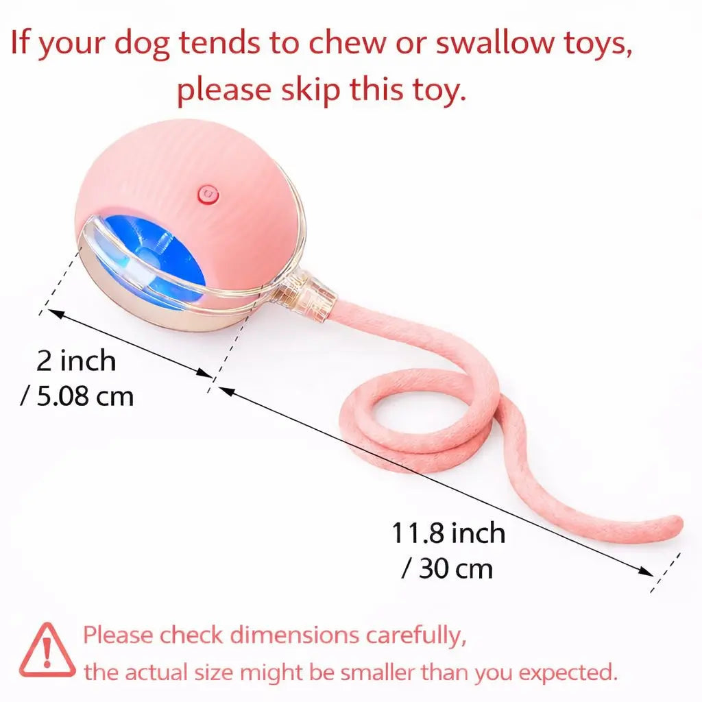 Interactive Cat & Dog Teaser