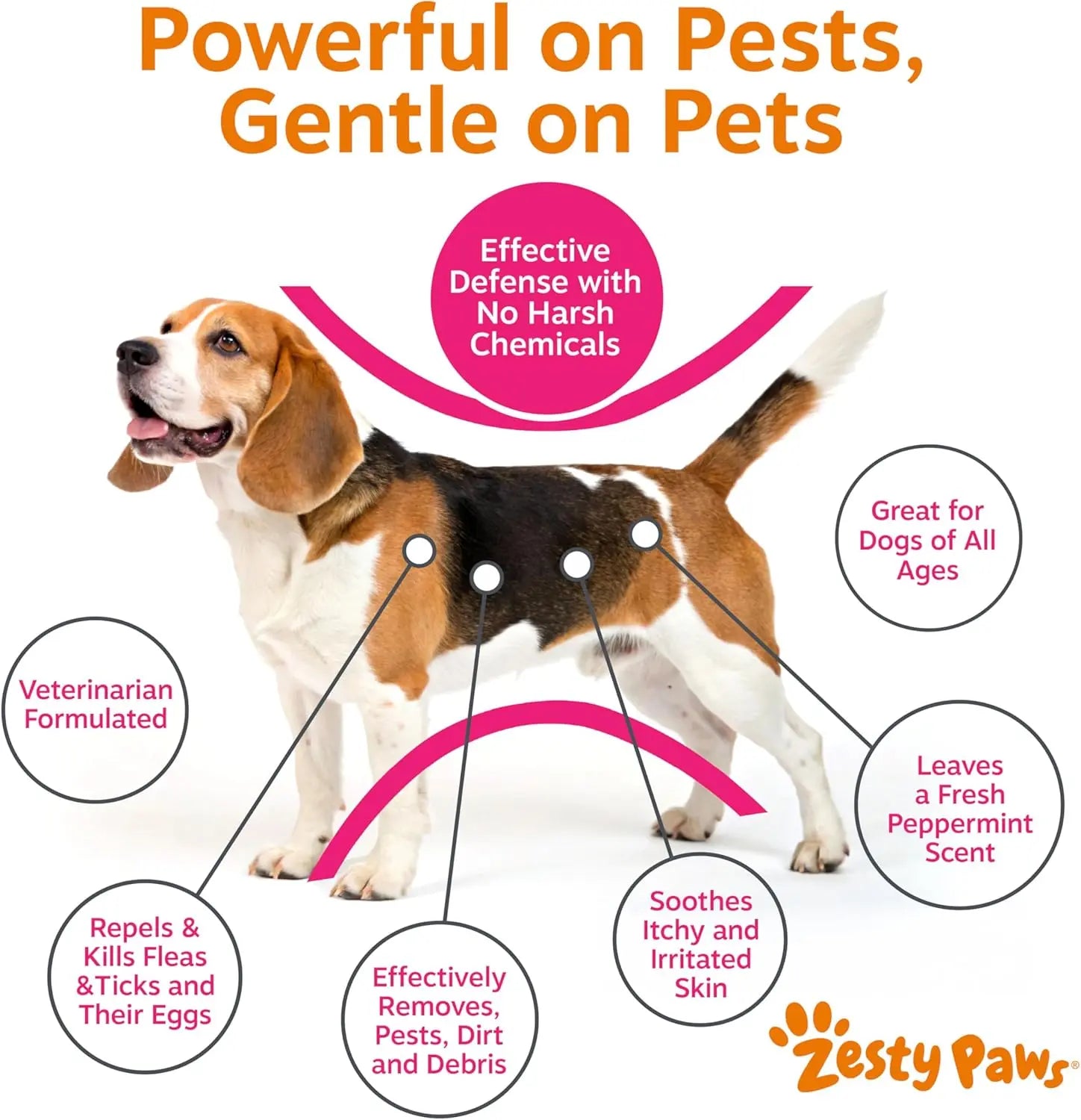 Paws Flea & Tick Removal Shampoo for Dogs